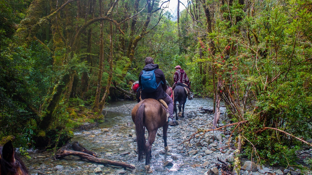 Cabalgatas Puelo